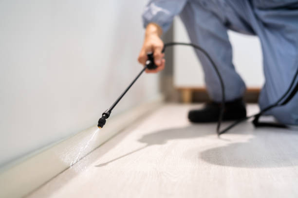 Licensed Termite Control service in Montezuma, GA - Nex Pest Control