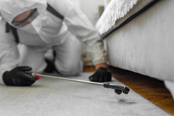 Professional Termite Control technician working in Montezuma, GA