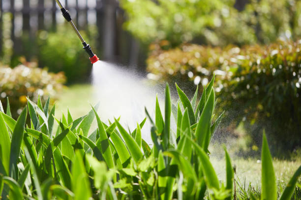 24/7 Emergency Termite Control experts in Montezuma, GA