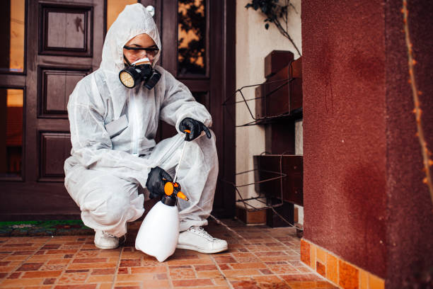 Reliable Termite Control contractor in Montezuma, GA by Nex Pest Control